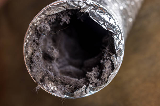 Best Local Air Duct Cleaning Services  in New Holland, PA